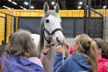 Load image into Gallery viewer, See who has already gotten a Leg UP!!