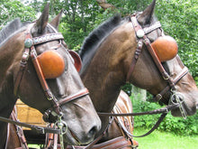 Load image into Gallery viewer, Buy 2 Annual Memberships