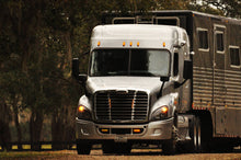 Load image into Gallery viewer, See who has already gotten a Leg UP!!