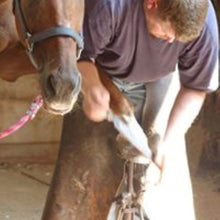 Load image into Gallery viewer, See who has already gotten a Leg UP!!