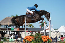 Load image into Gallery viewer, See who has already gotten a Leg UP!!