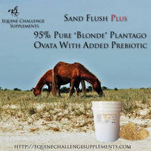 Load image into Gallery viewer, Top Banner Ads