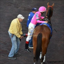 Load image into Gallery viewer, See Who Has Already Gotten A Leg Up!!